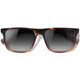 Zeta Tortoise Brilho com lente de sol cinza degrade