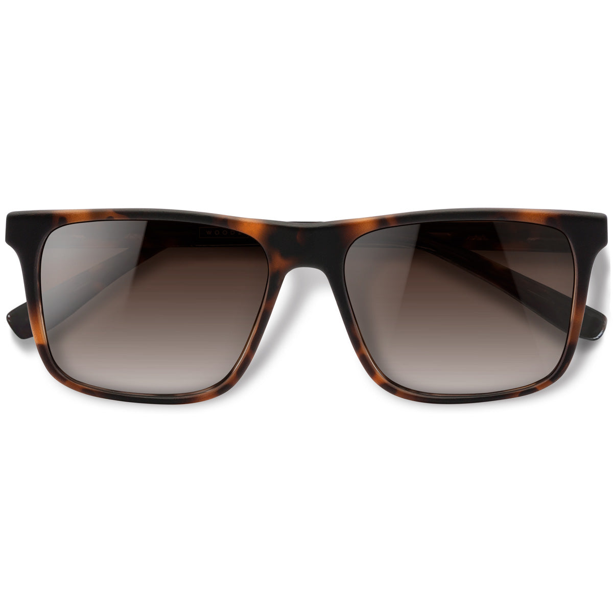 Zeta Tortoise Fosco com lente marrom degrade