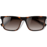 Zeta Tortoise Fosco com lente marrom degrade