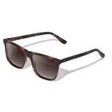 Zeta Tortoise Fosco com lente marrom degrade
