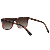Zeta Tortoise Fosco com lente marrom degrade