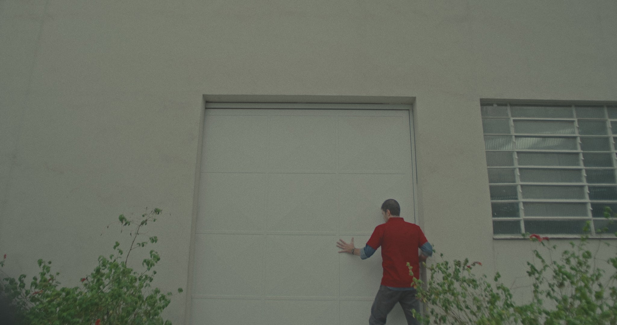 Óculos de Sol todo de Acetato | Lee Tortoise Lente Verde Claro (Woodz