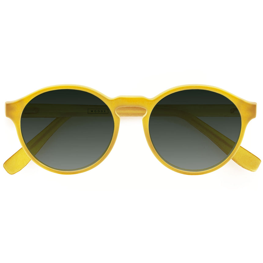 Óculos de Sol todo de Acetato | Woodz Elli Gold Fosco