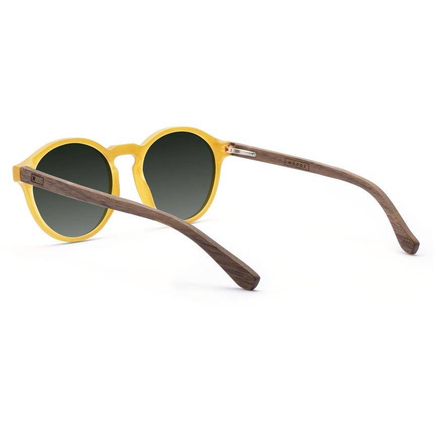 Óculos de Sol de Acetato com Madeira | Woodz Elli Gold Fosco